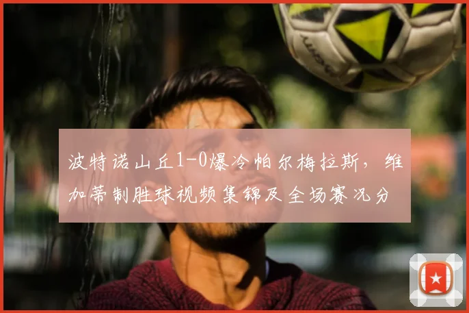 波特诺山丘1-0爆冷帕尔梅拉斯,维加蒂制胜球视频集锦及全场赛况分析