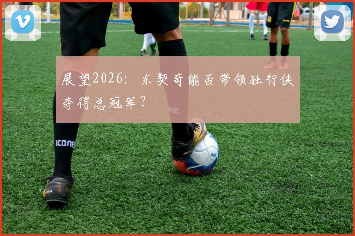 展望2026:东契奇能否带领独行侠夺得总冠军?