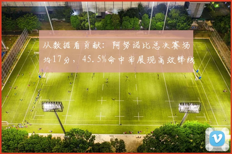 从数据看贡献：阿努诺比总决赛场均17分，45.5%命中率展现高效锋线实力